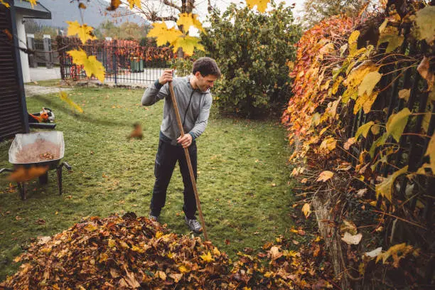 How To Clean A Backyard Gresham, OR