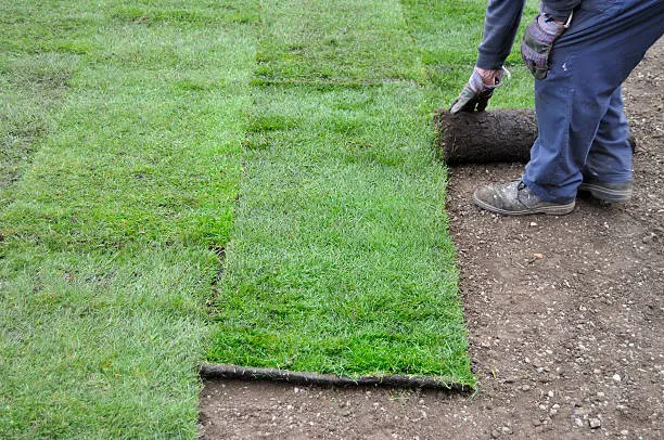 How long after installing sod can you walk on it in Gresham, OR