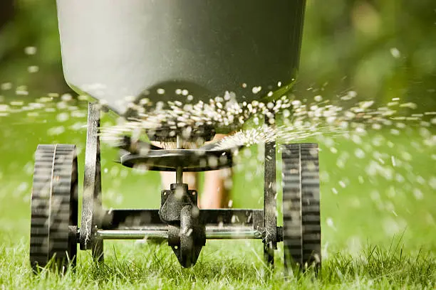 How often should you fertilize your lawn Gresham, OR