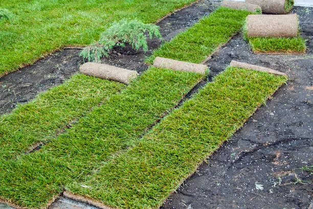 How to lay sod over existing lawn in Gresham, OR