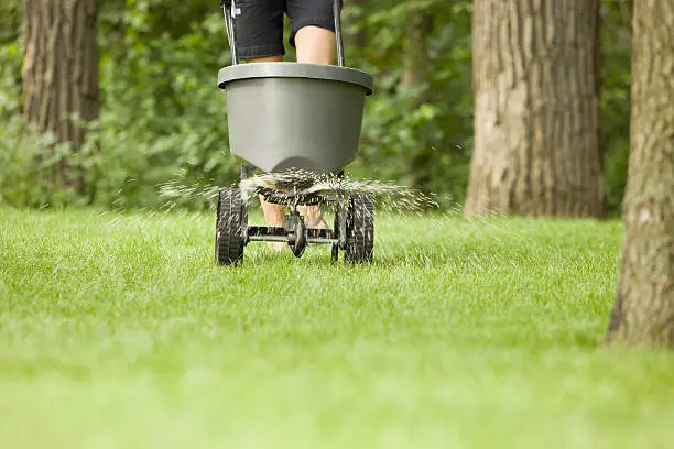 Lawn Fertilization in Gresham, OR