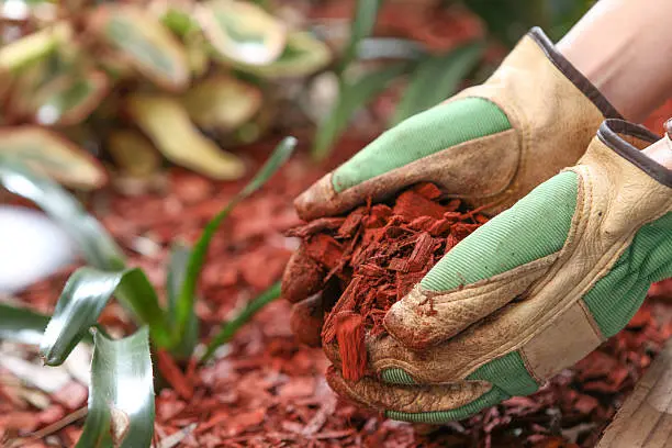 Mulching Gresham, OR