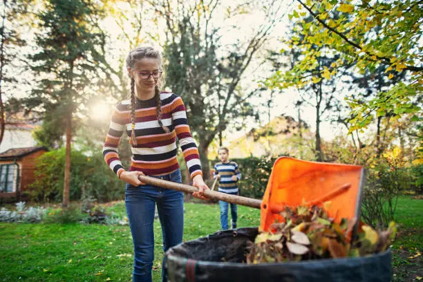 Reliable Yard Cleanup in Gresham, OR