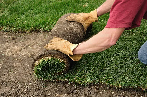 Sod Installation in Gresham, OR