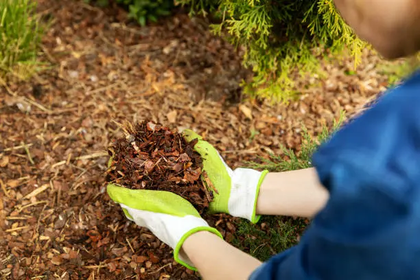 What does mulch do in Gresham, OR