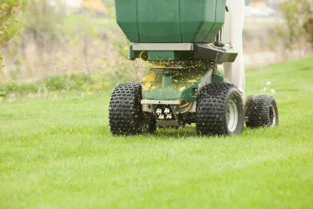 When is the best time to fertilize your lawn Gresham, OR