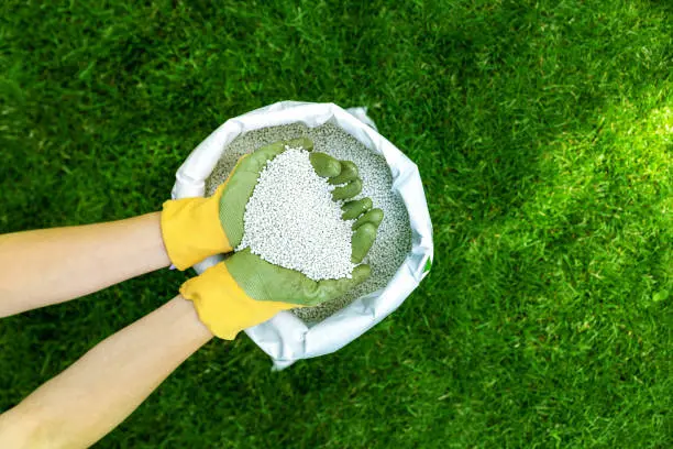 When is the best time to fertilize your lawn in Gresham, OR