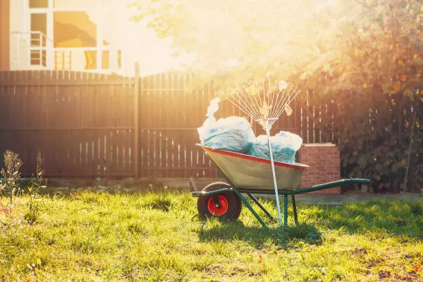 Yard Cleanup in Gresham, OR